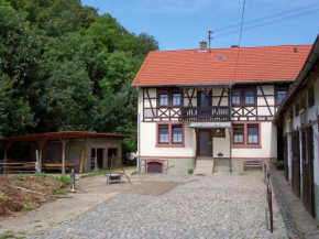 Гостиница Pferdehof und Wanderreitstation Dorsam, Мёрленбах